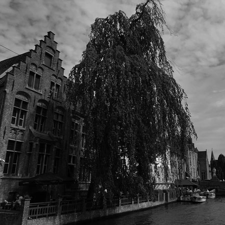 Brujas, Bruselas.